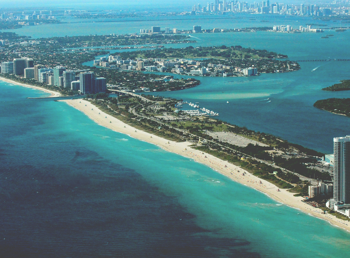 Florida landscape