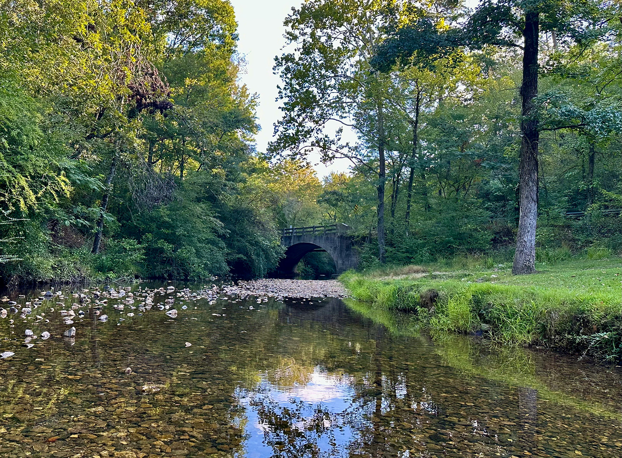Arkansas landscape