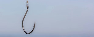 Don’t Take the Bait: Avoiding Phishing Scams